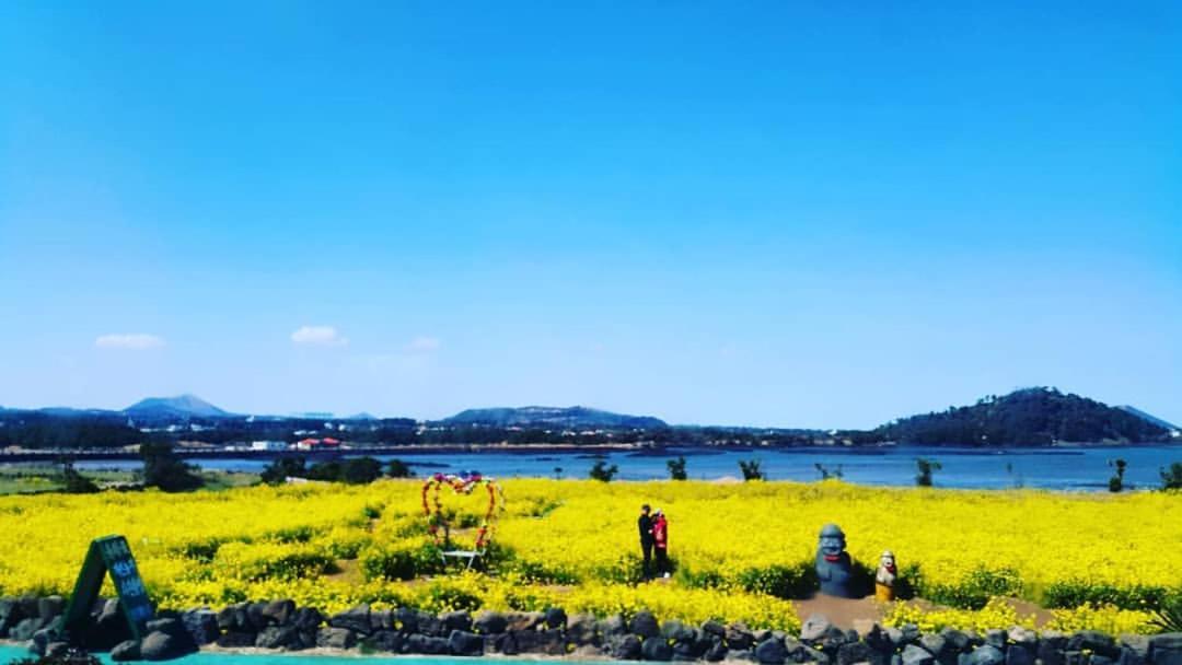 城山日出峰民宿 济州市 外观 照片